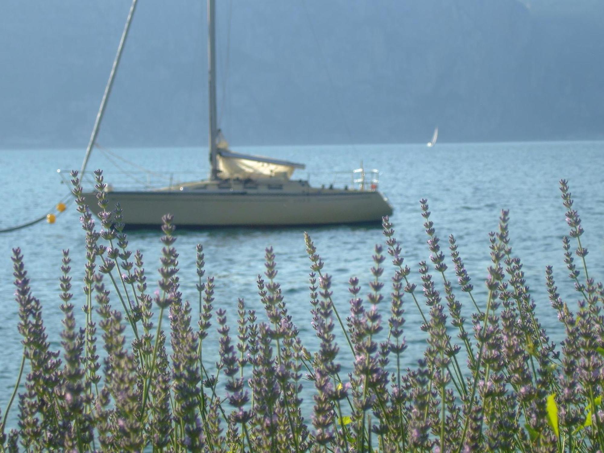 Residence San Vito Brenzone sul Garda Bagian luar foto