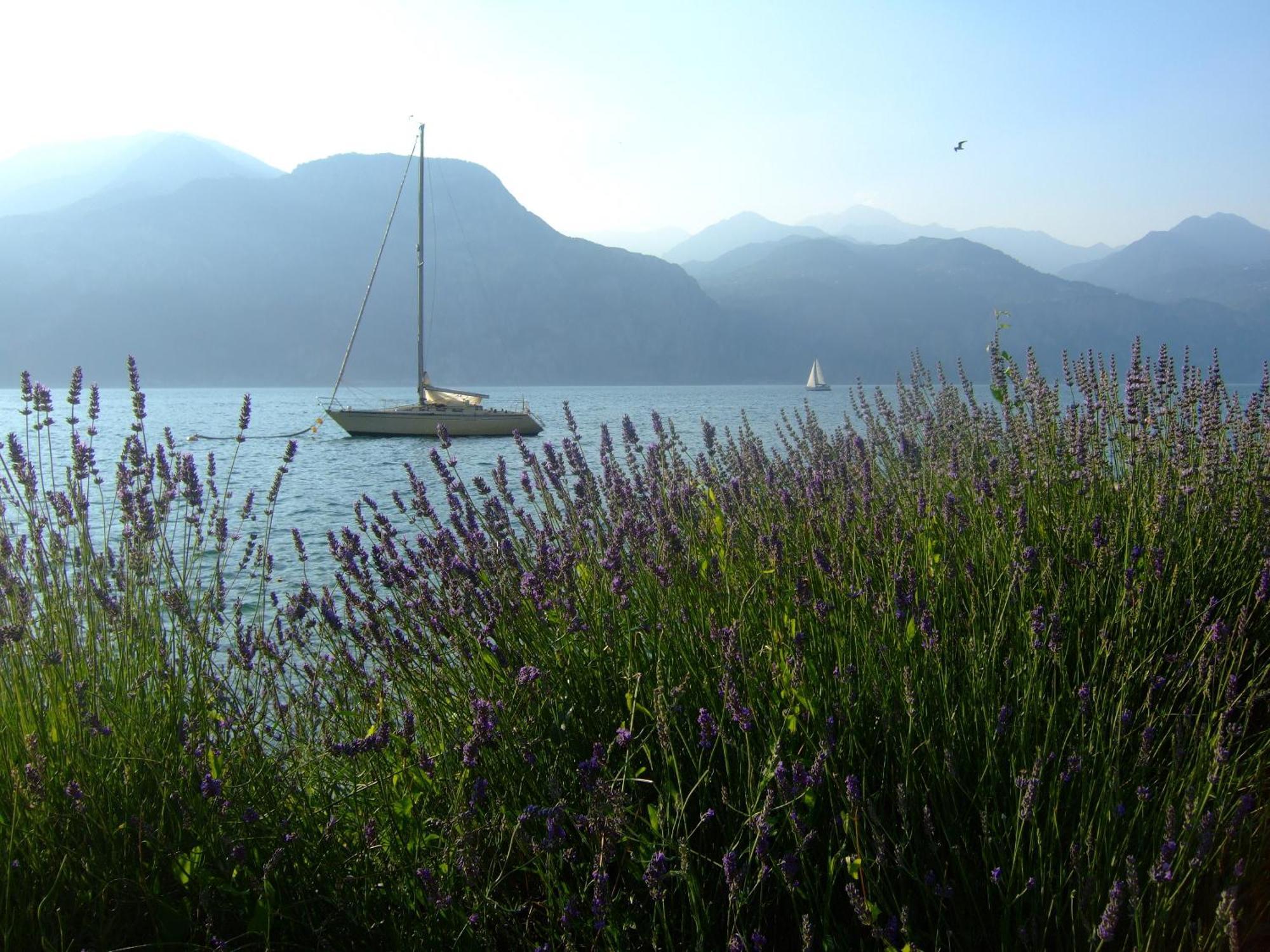 Residence San Vito Brenzone sul Garda Bagian luar foto
